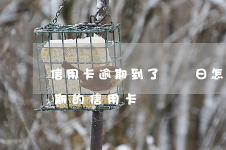 信用卡逾期到了賬單日怎么辦-如何處理逾期的信用卡