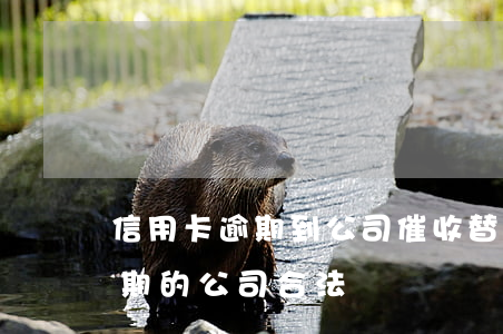信用卡逾期到公司催收(替銀行催收信用卡逾期的公司合法嗎)