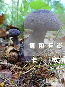 信用卡逾期到別家銀行取錢(儲(chǔ)蓄卡錢被信用卡逾期劃走了)