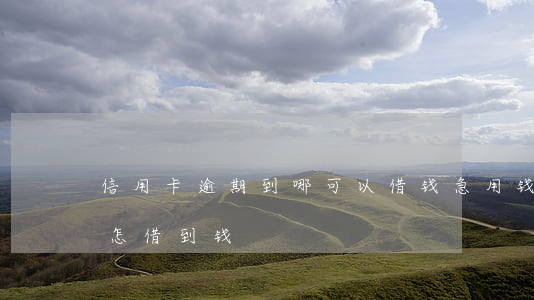 信用卡逾期到哪可以借钱(急用钱信用卡逾期怎借到钱)