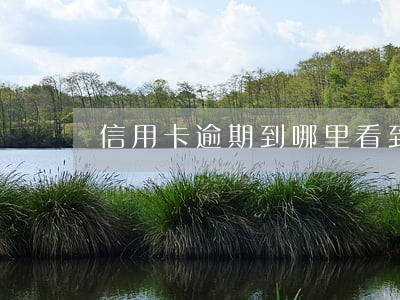 信用卡逾期到哪里看到(查信用卡逾期怎么查)