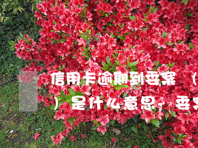 信用卡逾期到委案結(jié)構(gòu)是什么意思-委案期限定義信用卡