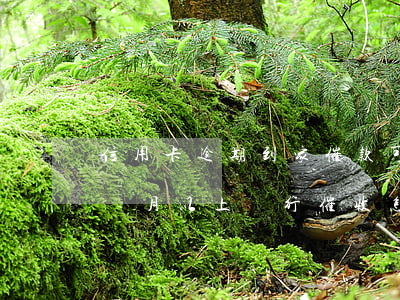 信用卡逾期到家催款可以嗎(欠信用卡逾期3個月以上,銀行催收怎么辦?)