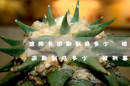 信用卡逾期到底多少會被刑事追究-信用卡逾期到底多少會被刑事追究呢