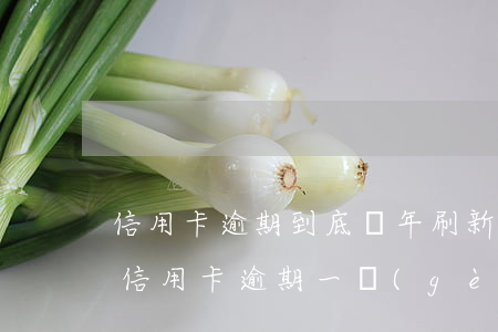 信用卡逾期到底幾年刷新一次-2016年信用卡逾期一個(gè)月