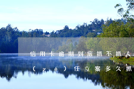 信用卡逾期到底抓不抓人(信用卡逾期刑事責(zé)任立案多久抓人)