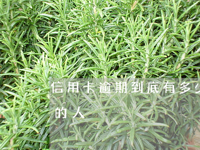 信用卡逾期到底有多少人(有多少信用卡逾期的人)