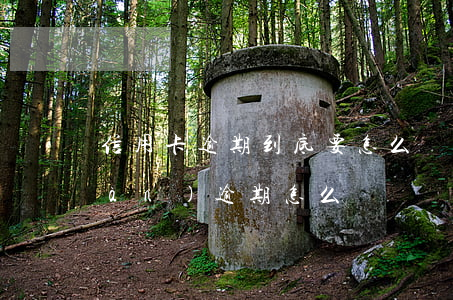 信用卡逾期到底要怎么辦(信用卡出現(xiàn)逾期怎么辦)