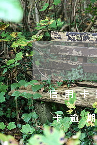 信用卡逾期到底該不該協(xié)商 信用卡逾期到底該不該協(xié)商還本金