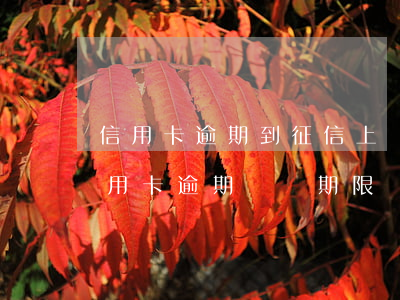 信用卡逾期到征信上還有記錄嗎-征信上信用卡逾期記錄期限