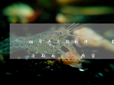 信用卡逾期到律師這里多久就起訴(欠信用卡逾期起訴會拘留嗎)