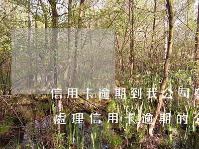 信用卡逾期到我公司(有沒(méi)有幫忙處理信用卡逾期的公司)