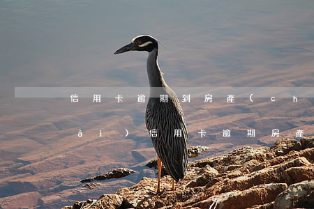 信用卡逾期到房產(chǎn)被拍賣(mài)(信用卡逾期房產(chǎn)會(huì)被拍賣(mài)嗎)