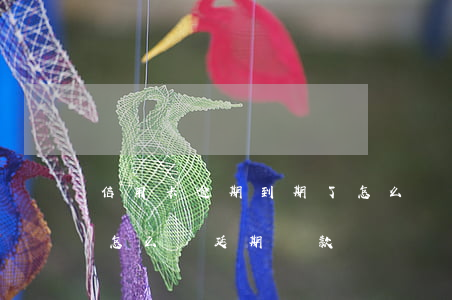 信用卡逾期到期了怎么辦(信用卡逾期到期了怎么辦延期還款)