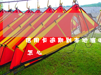 信用卡逾期到本地催收(信用卡逾期遇到催收怎么辦)