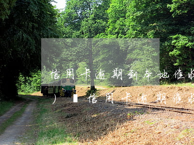 信用卡逾期到本地催收(怎么樣應(yīng)對信用卡逾期催收電話?)
