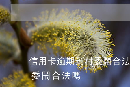 信用卡逾期到村委鬧合法嗎 信用卡逾期到村委鬧合法嗎