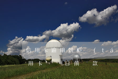 信用卡逾期到柜臺(tái)還款流程(在信用卡賬單日前還款)