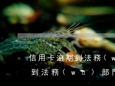 信用卡逾期到法務(wù)部-信用卡逾期到法務(wù)部門怎么解決?