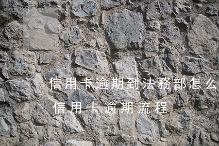 信用卡逾期到法務部怎么辦(律師事務所催收信用卡逾期流程)