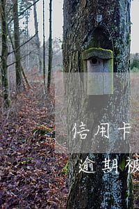 信用卡逾期到法院傳票怎么處理-欠信用卡逾期被起訴了 法院寄傳票寄到哪里