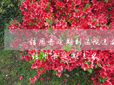 信用卡逾期到法院怎么解決(銀行去法院起訴信用卡逾期怎么辦)