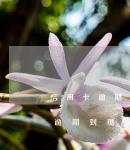 信用卡逾期到現在征信還有記錄嗎-信用卡逾期到現在征信還有記錄嗎怎么辦