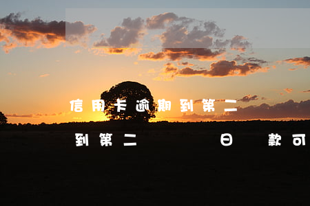 信用卡逾期到第二個賬單日還款(信用卡逾期到第二個賬單日還款可以嗎)