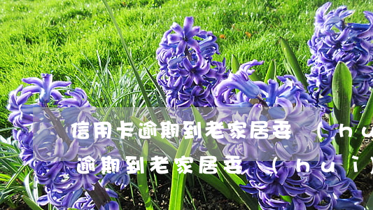 信用卡逾期到老家居委會(huì)(信用卡逾期到老家居委會(huì))