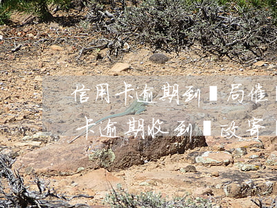 信用卡逾期到郵局催領(lǐng)單(信用卡逾期收到郵政寄來的郵件)