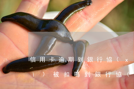 信用卡逾期到銀行協(xié)商會(huì)被扣嗎 到銀行協(xié)商處理信用卡逾期還款銀行有權(quán)拘留?