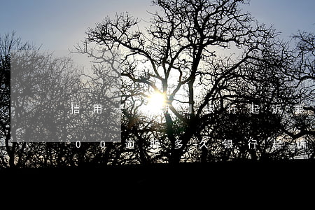 信用卡逾期到银行起诉要多久(信用卡15000逾期多久银行起诉)