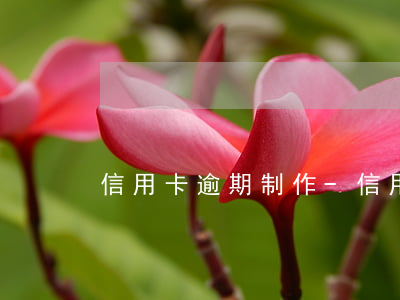 信用卡逾期制作-信用卡逾期制作圖片