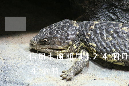 信用卡逾期刷卡24個月(信用卡逾期不到24小時)