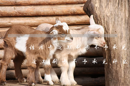 信用卡逾期刷卡不予承兑什么意思-信用卡逾期刷卡不予承兑什么意思