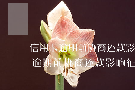 信用卡逾期前协商还款影响征信嘛-信用卡逾期前协商还款影响征信嘛