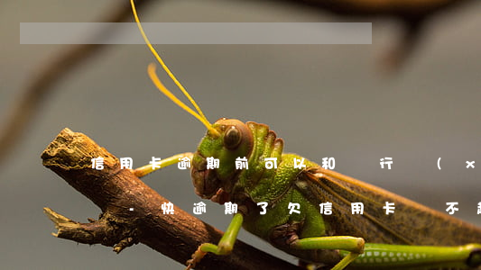 信用卡逾期前可以和銀行協(xié)商嗎嗎-快逾期了欠信用卡還不起跟銀行能有協(xié)商的可能性嗎