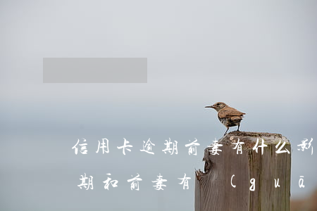 信用卡逾期前妻有什么影響(離婚后信用卡逾期和前妻有關(guān)系嗎)