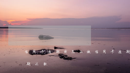 信用卡逾期前怎么做(信用卡逾期前怎么做分期还款)