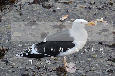 信用卡逾期前怎么溝通(銀行對信用卡逾期起訴流程)