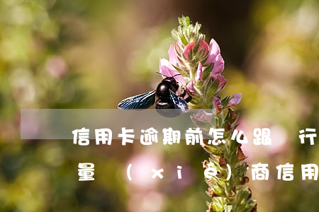 信用卡逾期前怎么跟銀行溝通 怎么與銀行商量協(xié)商信用卡逾期還款事宜
