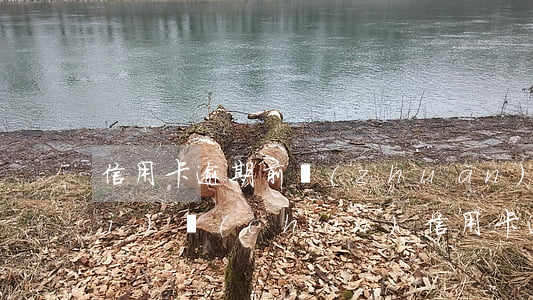 信用卡逾期前轉(zhuǎn)移財(cái)產(chǎn)(信用卡逾期前轉(zhuǎn)移財(cái)產(chǎn)有問(wèn)題嗎)