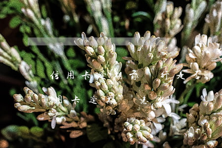 信用卡逾期前銀行是否應該有提醒(如果說信用卡逾期會怎么樣)