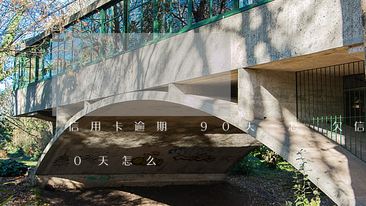信用卡逾期剛90天會怎樣(欠信用卡超過90天怎么辦)