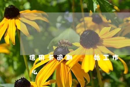 信用卡逾期剛開始工作(剛辦的信用卡逾期怎么辦)