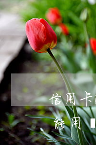 信用卡逾期剩余額度 信用卡逾期剩余額度還能用嗎
