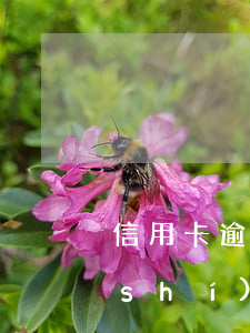 信用卡逾期劃扣儲(chǔ)蓄卡是隨時(shí)嗎