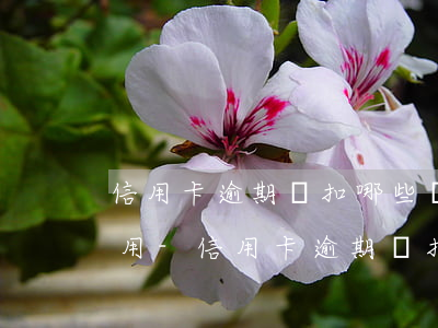 信用卡逾期劃扣哪些儲(chǔ)蓄卡可以用-信用卡逾期劃扣哪些儲(chǔ)蓄卡可以用呢