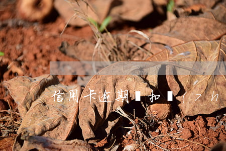 信用卡逾期劃扣執(zhí)行后