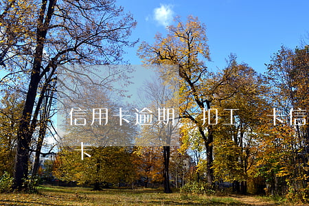 信用卡逾期劃扣工資卡(信用卡逾期劃扣工資卡)